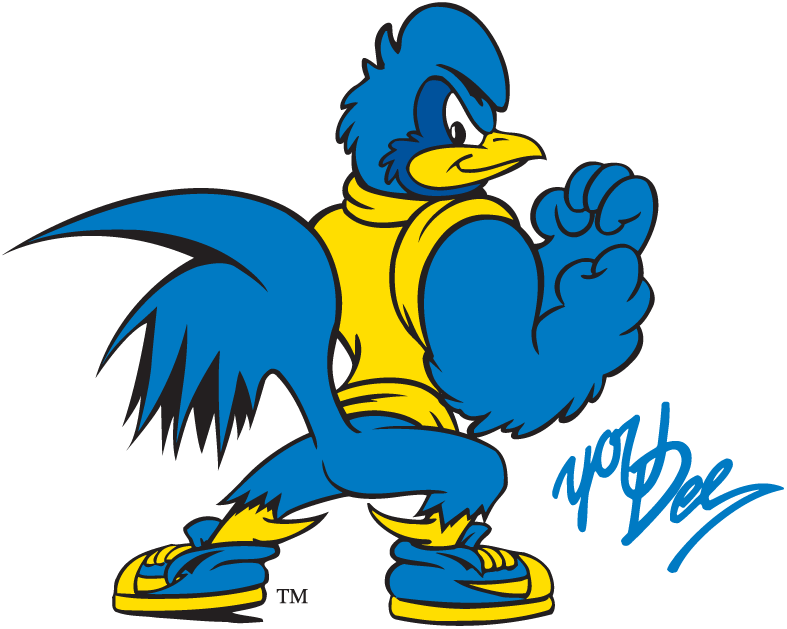 Delaware Blue Hens 1993-Pres Mascot Logo iron on transfers for T-shirts